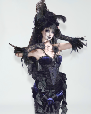 blood supply original day of mourning gothic european gorgeous sparkling velvet slim fit dress corset autumn blood supply original day of mourning gothic european gorgeous sparkling velvet slim fit dress corset autumn
